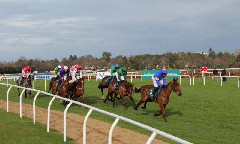 Two Night Stay for the Dublin Racing Festival 2026 with Celebrity Preview Evening  2 people