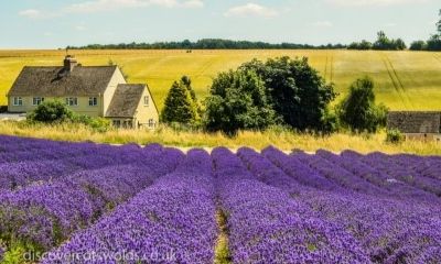 An Authentic Farm Stay In The Cotswolds For 8 People With Private Pamper Session