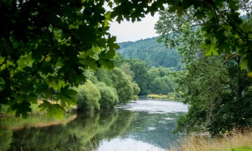 Fishing experience for 2 people for a day on the River Yair, Scotland