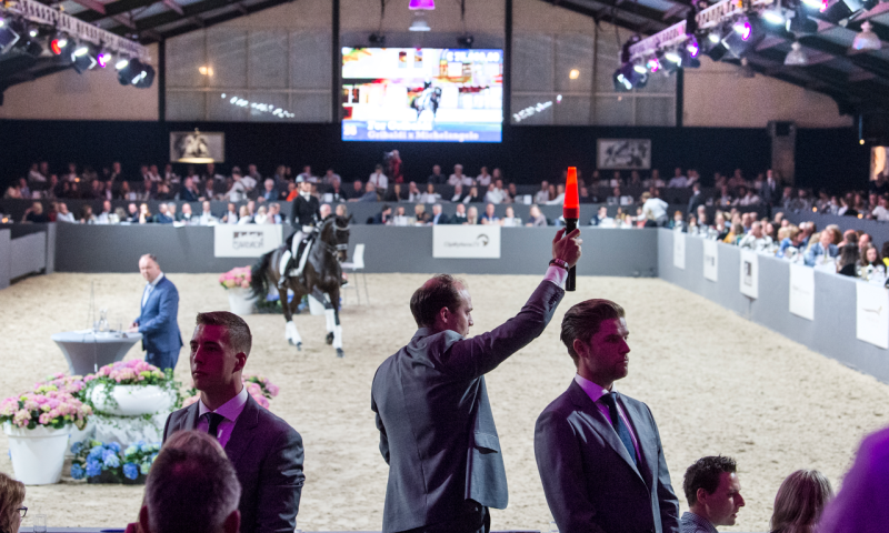 VIP Horse Auction Package in Holland