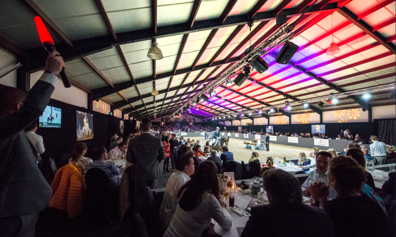 VIP Horse Auction Package in Holland