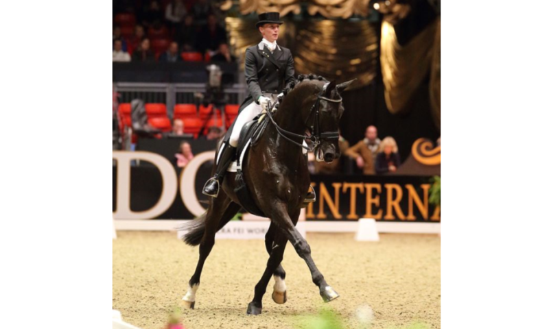 Private dressage lesson and exclusive dinner in Holland