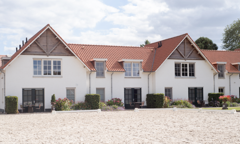 Private dressage lesson and exclusive dinner in Holland