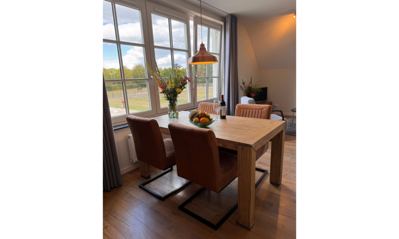 Private dressage lesson and exclusive dinner in Holland