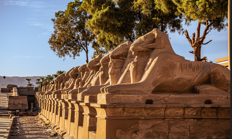 Enchanting Nile River Cruise for 7 nights