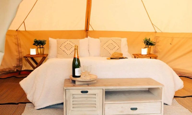 Silverstone F1 Dream - 4-Night Trackside Stay at the British Grand Prix 2026 - people