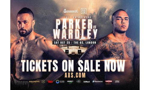 Exclusive Boxing Hospitality at the O2 -Parker V Wardley
