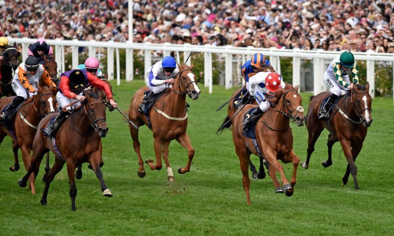 Queen Anne Enclosure Admission tickets