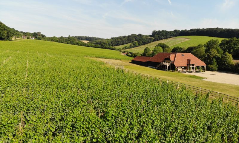 Wine tasting, tour & lunch for 8 at Hundred Hills vineyards in Oxfordshire
