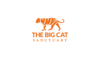 Sleepover at Big Cat Sanctuary Experience