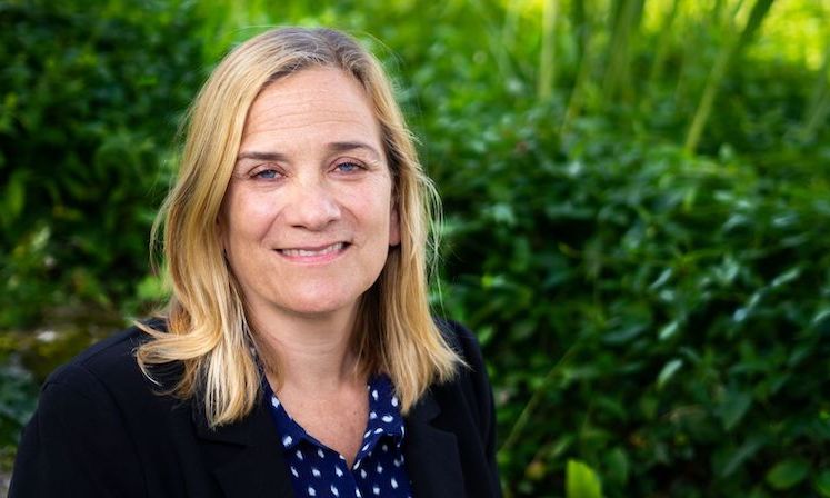 Tracy Chevalier's Story