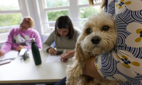 A day out with Maple