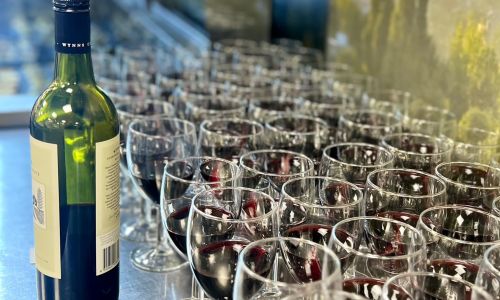 Premium Wine Selection