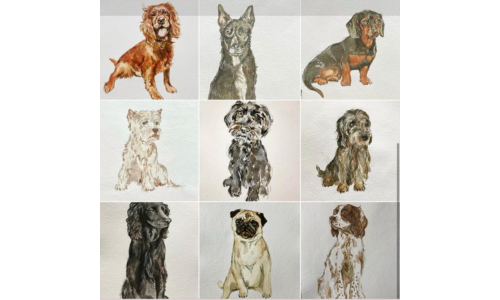 Animal portrait by Phoebe Neville Portraits