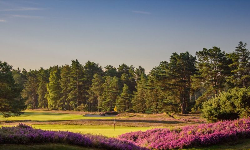 Hosted Round of Golf at Sunningdale Golf Club