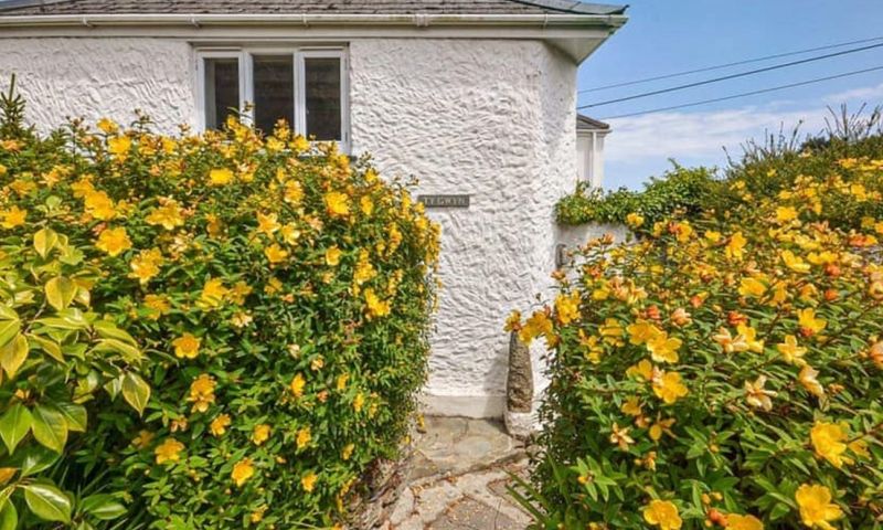 Cornish Cottage by the Sea, for one week