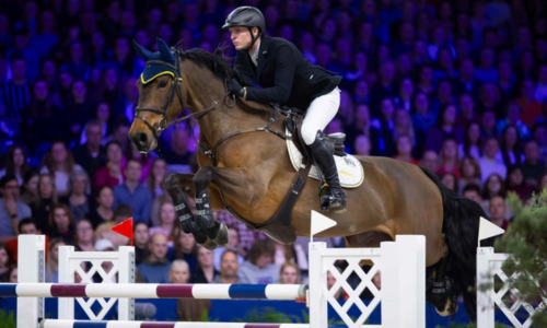 VIP Belevenis bij Jumping Amsterdam 2025 (8 personen)
