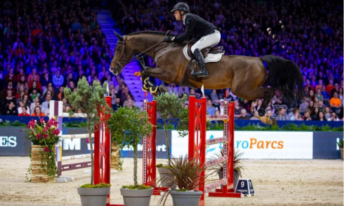 VIP Belevenis bij Jumping Amsterdam 2025 (8 personen)