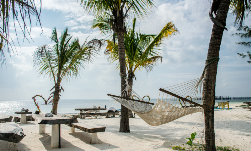 Op maat gemaakte droomreis naar Zanzibar voor 4 personen met persoonlijke gids! 