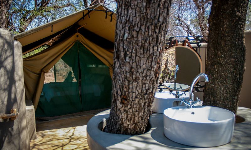 Een onvergetelijk avontuur in Zuid-Afrika en Botswana