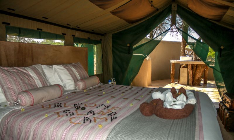 Een onvergetelijk avontuur in Zuid-Afrika en Botswana