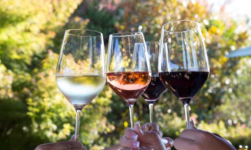 Vineyard Tour and Tasting in England for 2