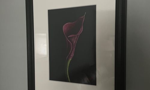 ‘The Lily’ by Graham McKean