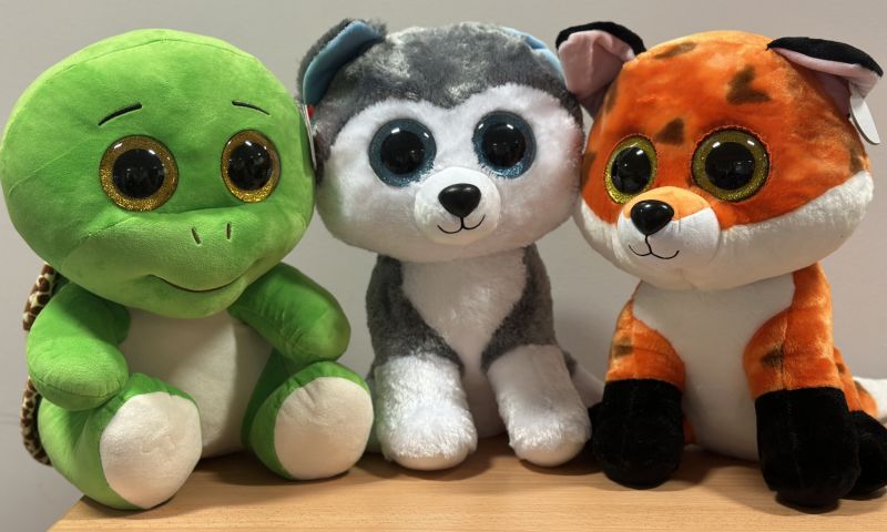 TY Cuddly toy package