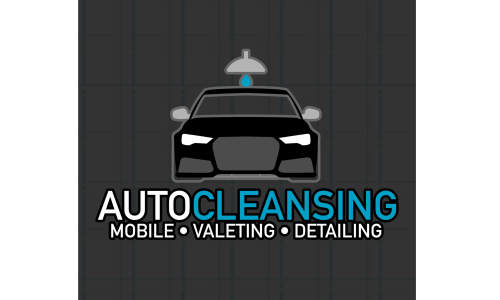 Valet that car
