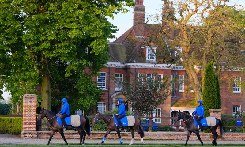 Private tour of Godolphin's Dalham Hall Stud in Newmarket with Racing & Hospitality at The Rowley Mile Racecourse for Two people