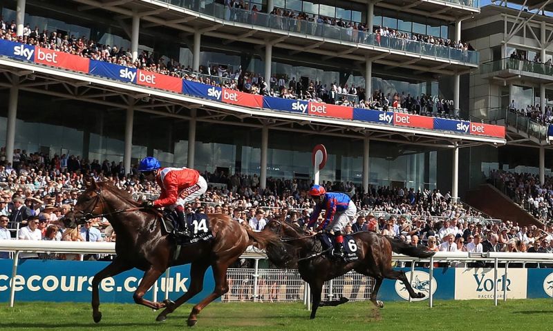 Four people to York Racecourse for lunch and racing at the Ebor Festival