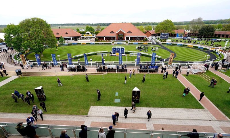 VIP Ultimate Discover Newmarket Experience Tour for four people