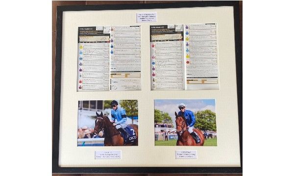 The 2022, 2000 & 1000 Guineas race cards, signed and official photographs of winners