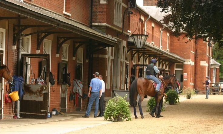 James Fanshawe Morning on the Gallops & Breakfast for four