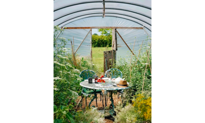 Howe Farm Flowers – Flower Picking with Tea and Cake for 6 people Summer 2023