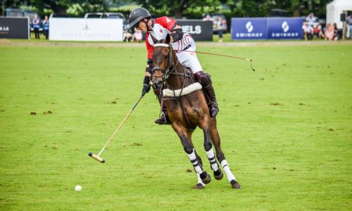 Polo Lesson with Professional Polo Player, Mark Tomlinson