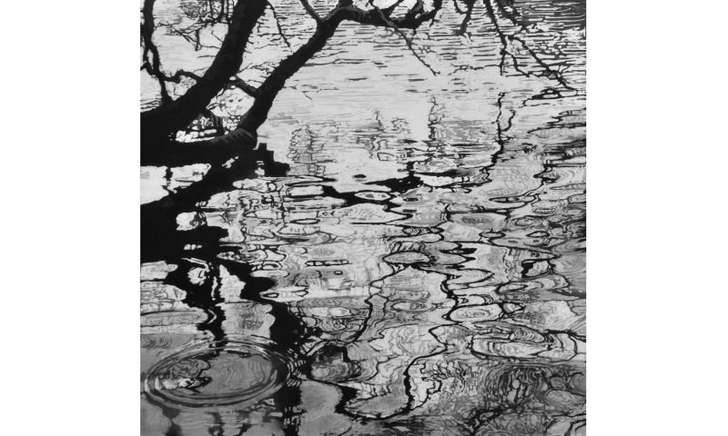 A3 sized unframed Print of an original batik ‘Reflections’ by Batik Artist, Rosi Robinson