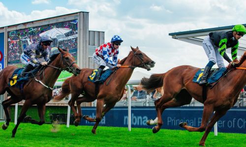 ENTRY FOR 6 TO EDINBURGH GIN GARDEN AT BOODLES MAY FESTIVAL, CHESTER RACES (8th May 2024)