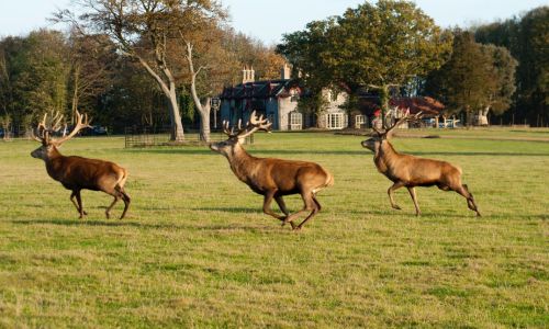 2 night suite stay for 2 at The Gunton Arms with breakfast & dinner