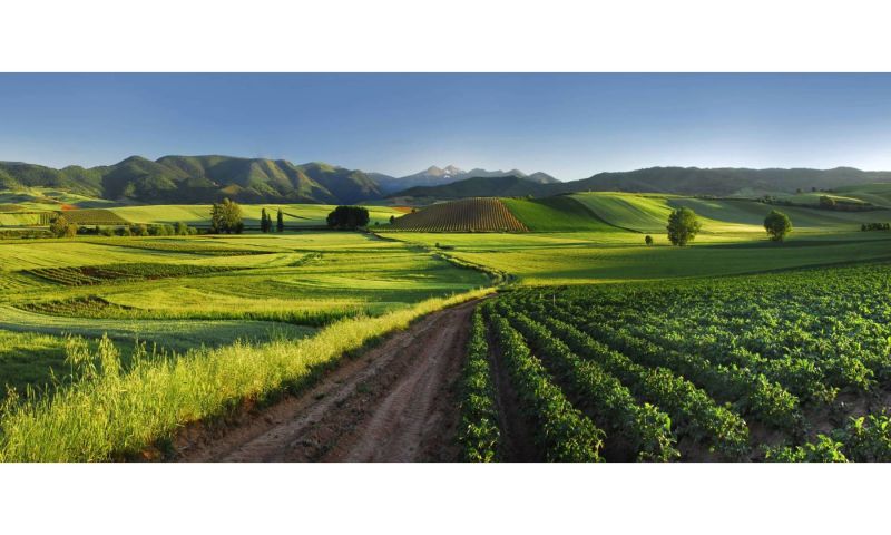 Three Night Gourmet Food And Wine Tour Of Rioja, Spain. With Personal Guide