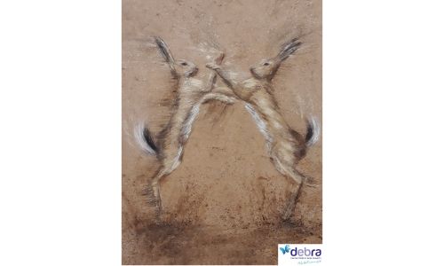 Boxing Hares Print by Sarah Elder, BBC Wildlife Artist of the Year