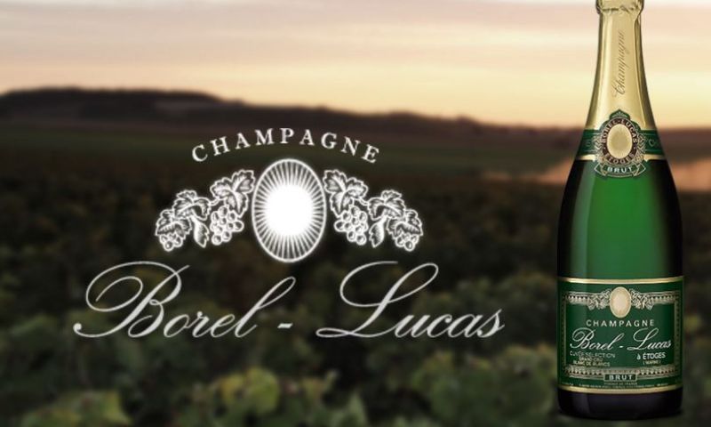 Borel Lucas Champagne Tasting Masterclass in Your Own Home for 16 People (2)