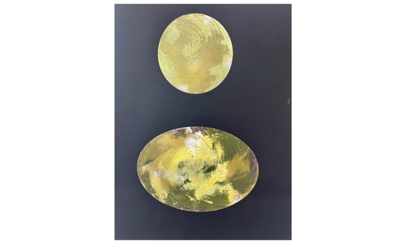 Ancient Lichen Mono Print by Mandi Stewart