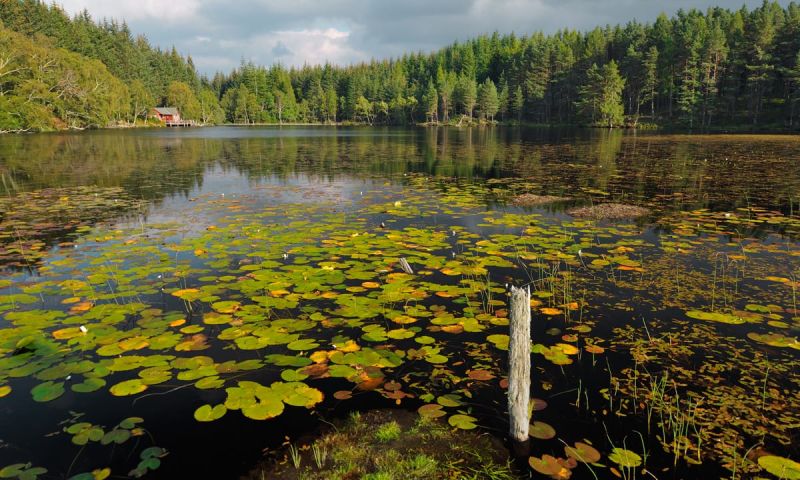 Escape to Nature - Dinner, Overnight Stay and Breakfast in at Aigas Field Centre