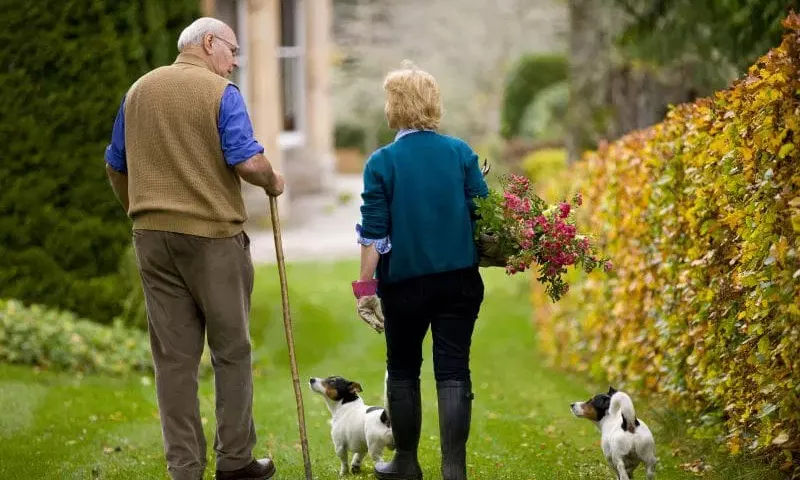 Escape to Nature - Dinner, Overnight Stay and Breakfast in at Aigas Field Centre