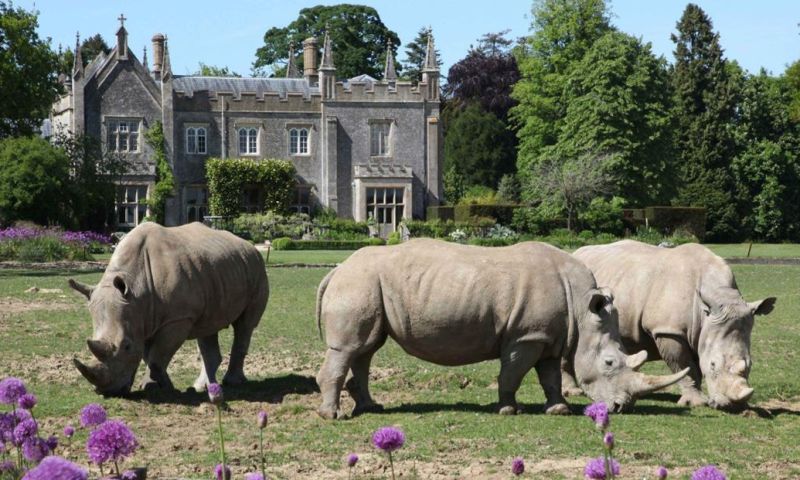 Roar & Snore at Cotswold Wildlife Park