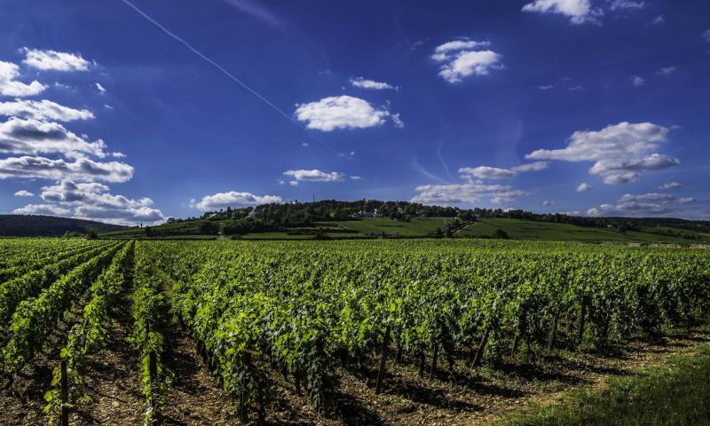 2 nights in The Loire Valley with Chateau and Wine tour for 2 people
