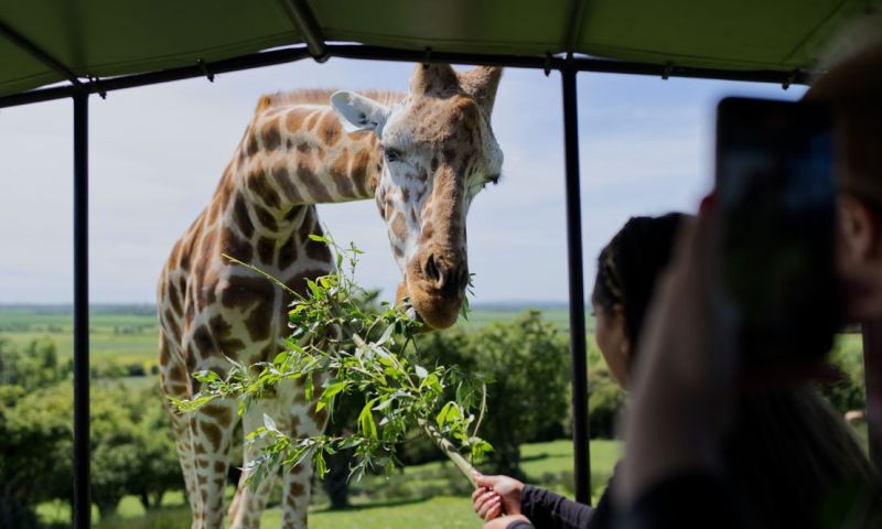 Exclusive Manor House Stay at Port Lympne For 2 with Bubbles, Breakfast & Afternoon Tea