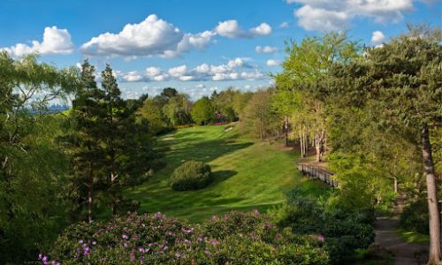 Fourball at The Addington
