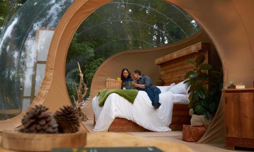 Overnight Stay for 2 Adults in the Bubble at Leopard Creek Wildlife Reserve ~ Kent